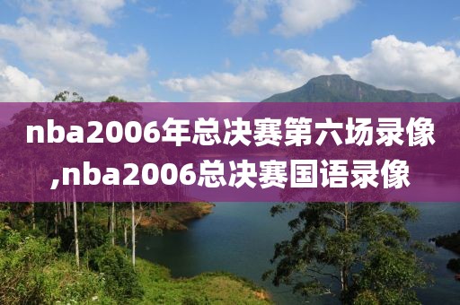 nba2006年总决赛第六场录像,nba2006总决赛国语录像