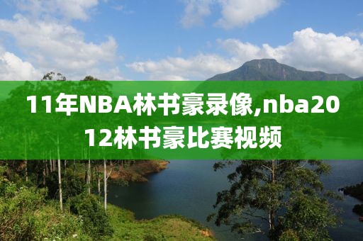 11年NBA林书豪录像,nba2012林书豪比赛视频