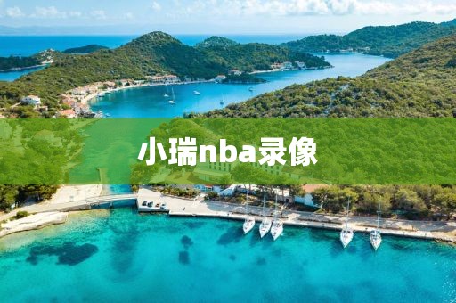 小瑞nba录像