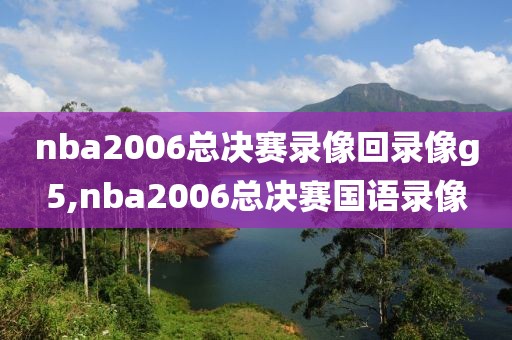 nba2006总决赛录像回录像g5,nba2006总决赛国语录像