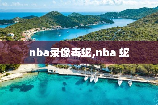 nba录像毒蛇,nba 蛇