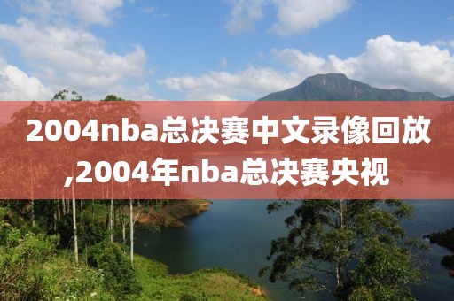 2004nba总决赛中文录像回放,2004年nba总决赛央视