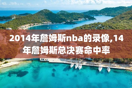 2014年詹姆斯nba的录像,14年詹姆斯总决赛命中率