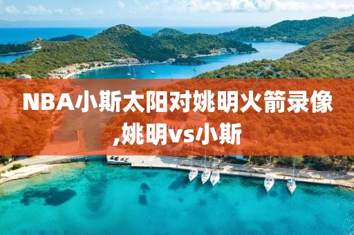 NBA小斯太阳对姚明火箭录像,姚明vs小斯