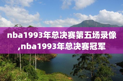 nba1993年总决赛第五场录像,nba1993年总决赛冠军